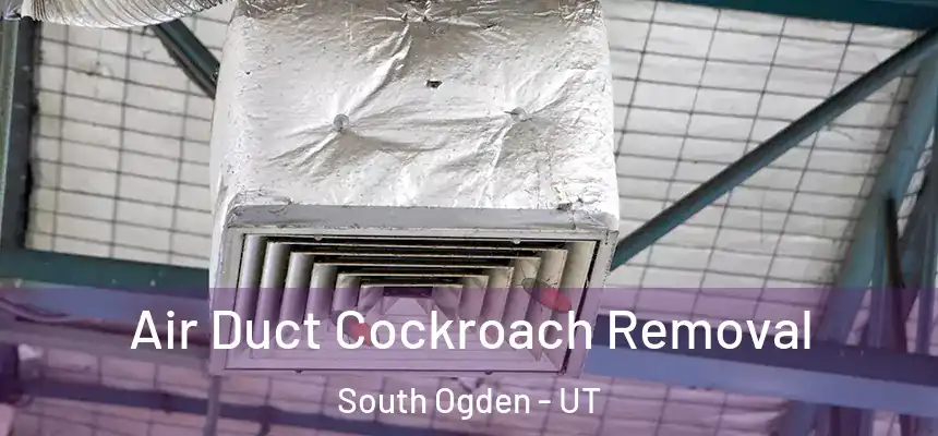 Air Duct Cockroach Removal South Ogden - UT