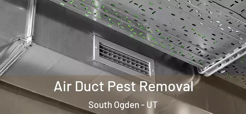 Air Duct Pest Removal South Ogden - UT