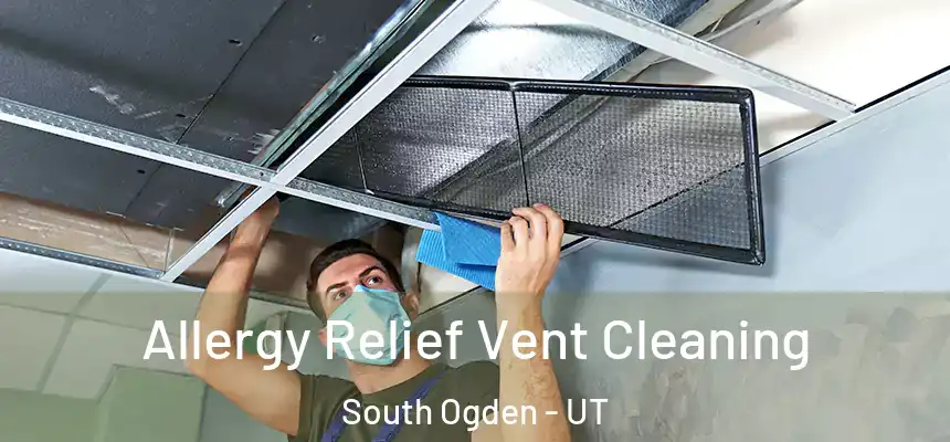 Allergy Relief Vent Cleaning South Ogden - UT