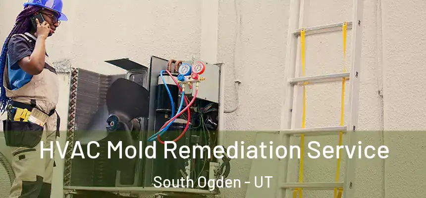  HVAC Mold Remediation Service South Ogden - UT