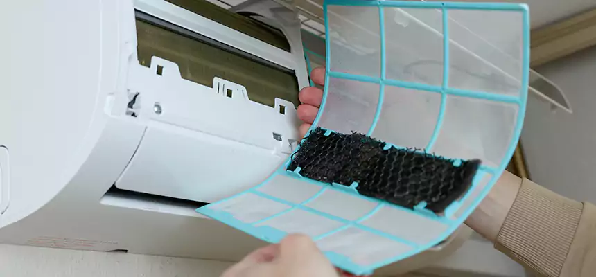 Gentle Ductwork Odor-Control Pet Dander Duct Cleaning in South Ogden, UT