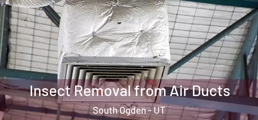  Insect Removal from Air Ducts South Ogden - UT