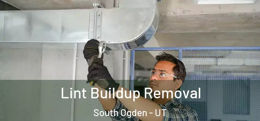  Lint Buildup Removal South Ogden - UT