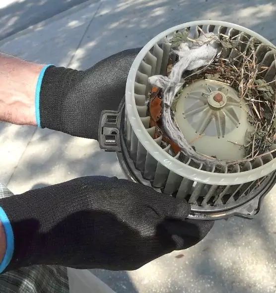 About Air Duct Rat Removal in South Ogden, UT