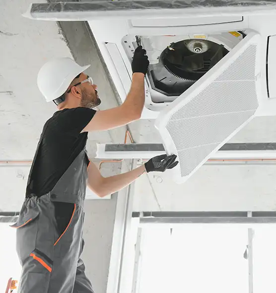 About Air Duct Rodent Removal in South Ogden, UT