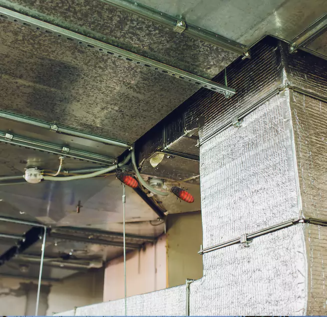 Why Homeowners & Businesses Trust Us in South Ogden, UT?