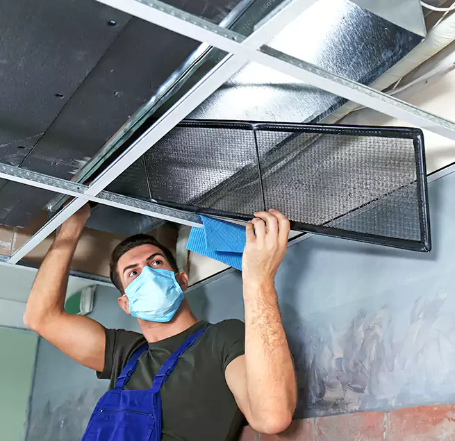 Why Homeowners Businesses Trust Us in South Ogden, UT