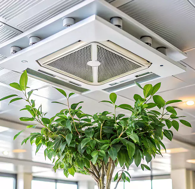 Why Homeowners & Businesses Trust Us in South Ogden, UT?