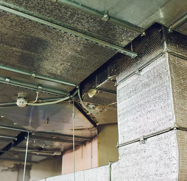 Why Homeowners & Businesses Trust Us in South Ogden, UT?